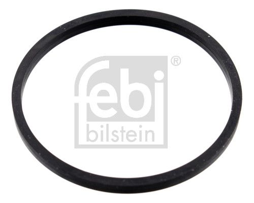 Dichtung Thermostat