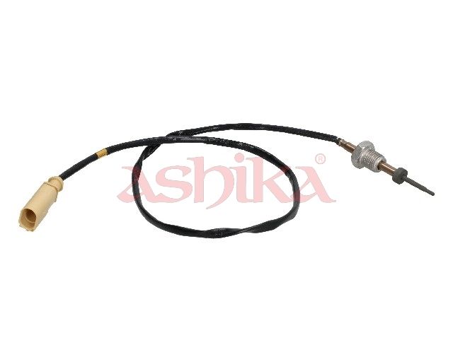 Sensor Abgastemperatur