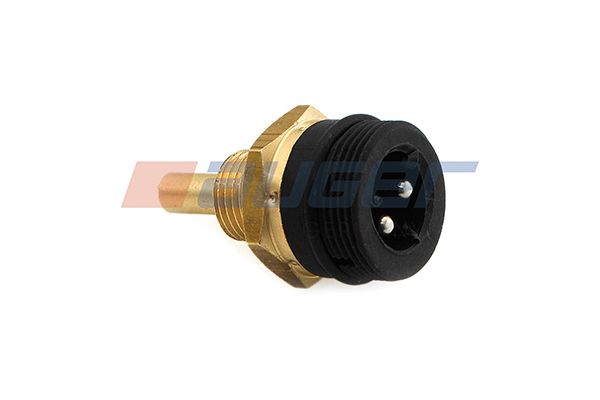 Kraftstofftemperatursensor