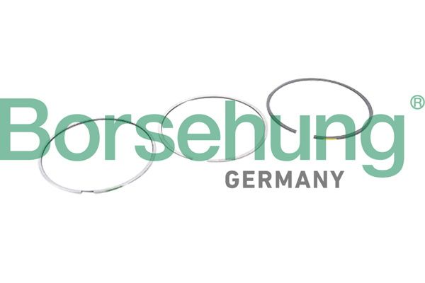 Kolbenring Satz Kolbenringe