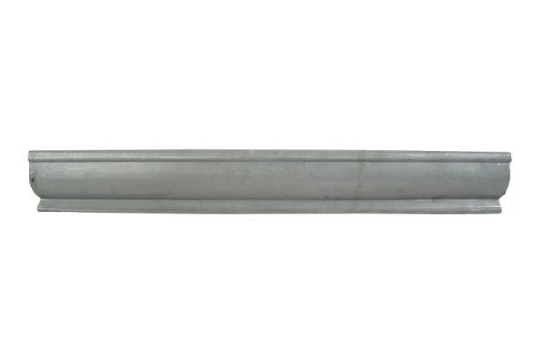 Einstiegsblech Schweller