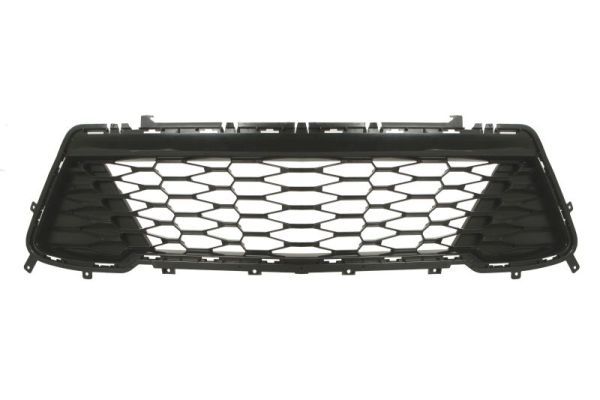 Stoßstange Gitter