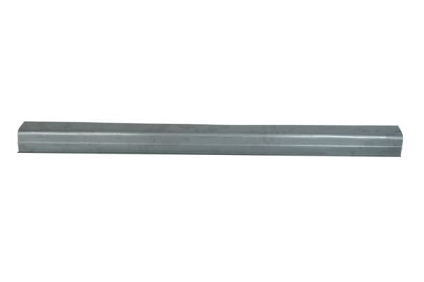 Einstiegsblech Schweller