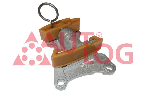 Spanner Steuerkette