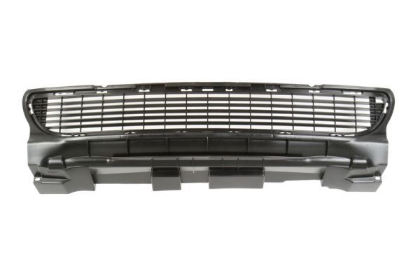Stoßstange Gitter
