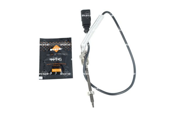 Sensor Abgastemperatur