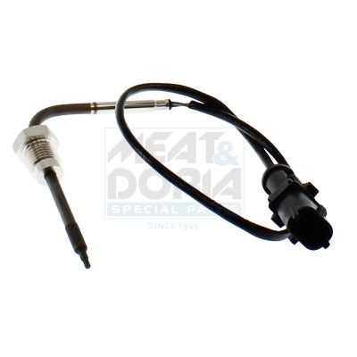 Sensor Abgastemperatur