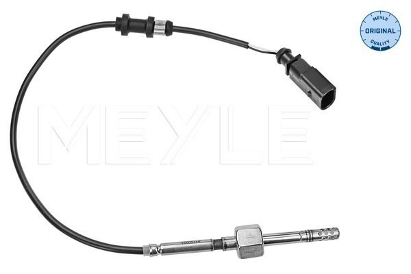 Sensor Abgastemperatur