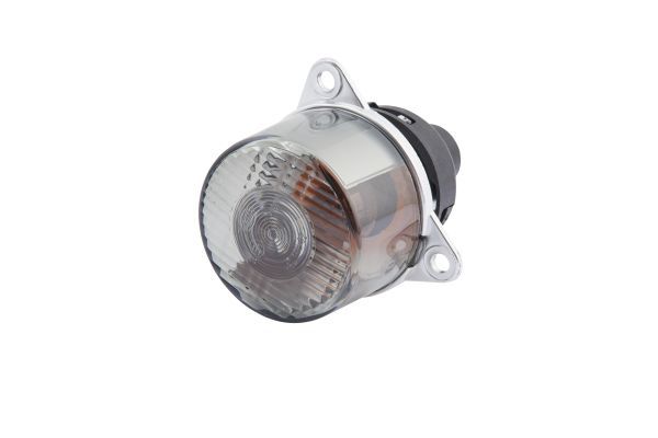 Blinker Blinkleuchte