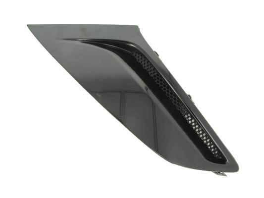 Stoßstange Gitter