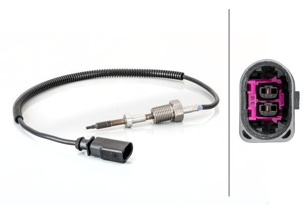 Sensor Abgastemperatur