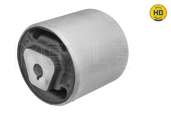 Querlenker Silentblock vorne
