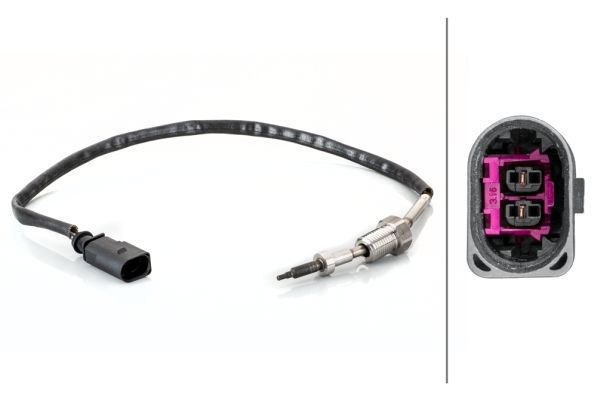 Sensor Abgastemperatur
