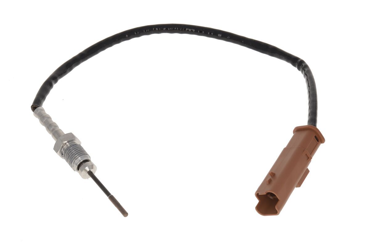 Sensor Abgastemperatur