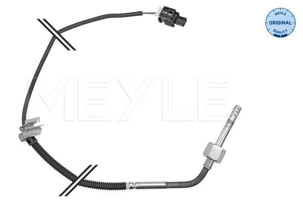 Sensor Abgastemperatur