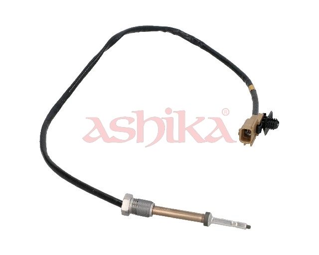 Sensor Abgastemperatur