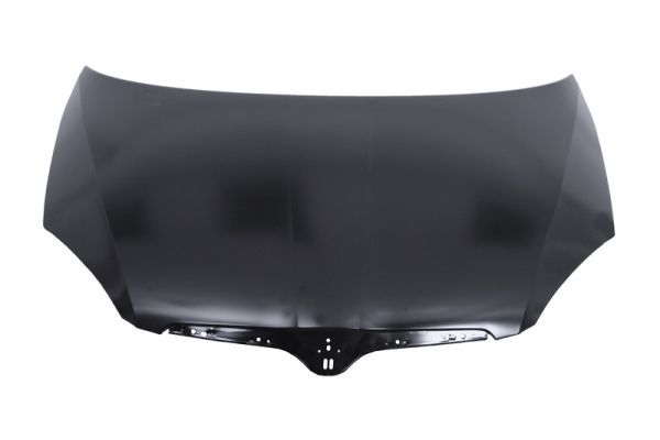 Motorhaube Haube