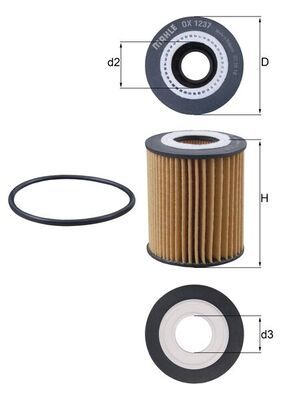 Ölfilter Öl Filter