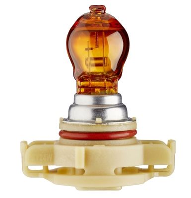 Glühbirne PSY24W