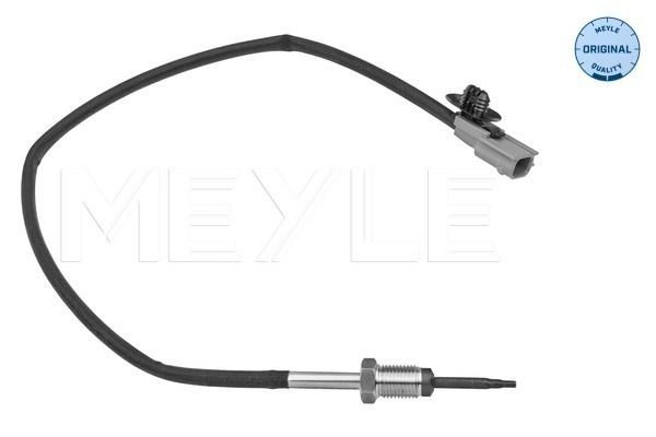 Sensor Abgastemperatur