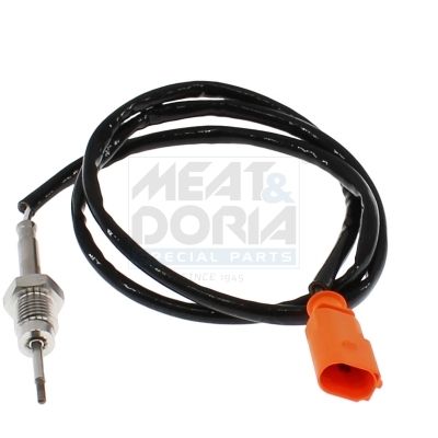 Sensor Abgastemperatur