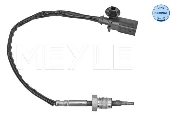 Sensor Abgastemperatur