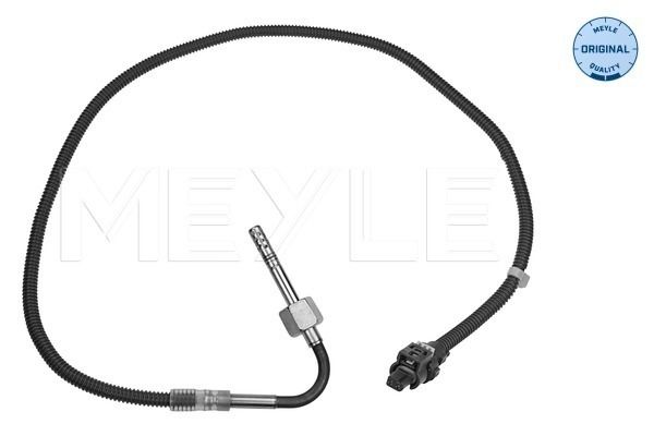 Sensor Abgastemperatur