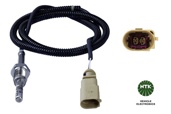 Sensor Abgastemperatur