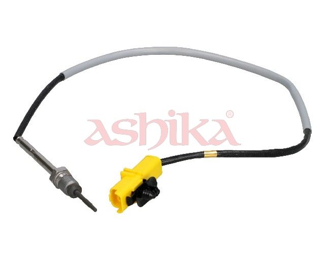 Sensor Abgastemperatur