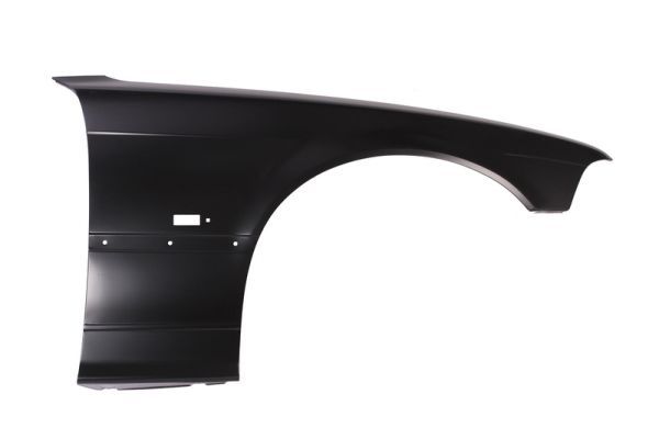 Set: 2 × Kotflügel vorne