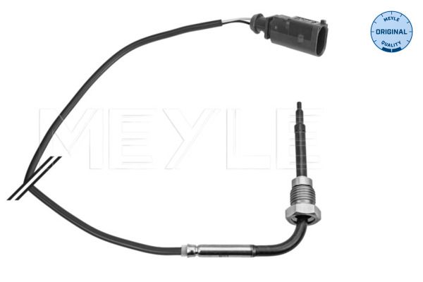 Sensor Abgastemperatur