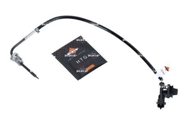 Sensor Abgastemperatur