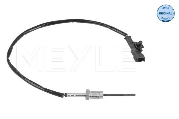 Sensor Abgastemperatur