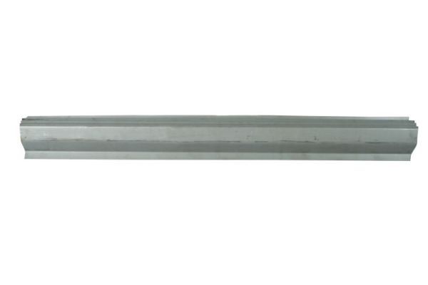 Einstiegsblech Schweller