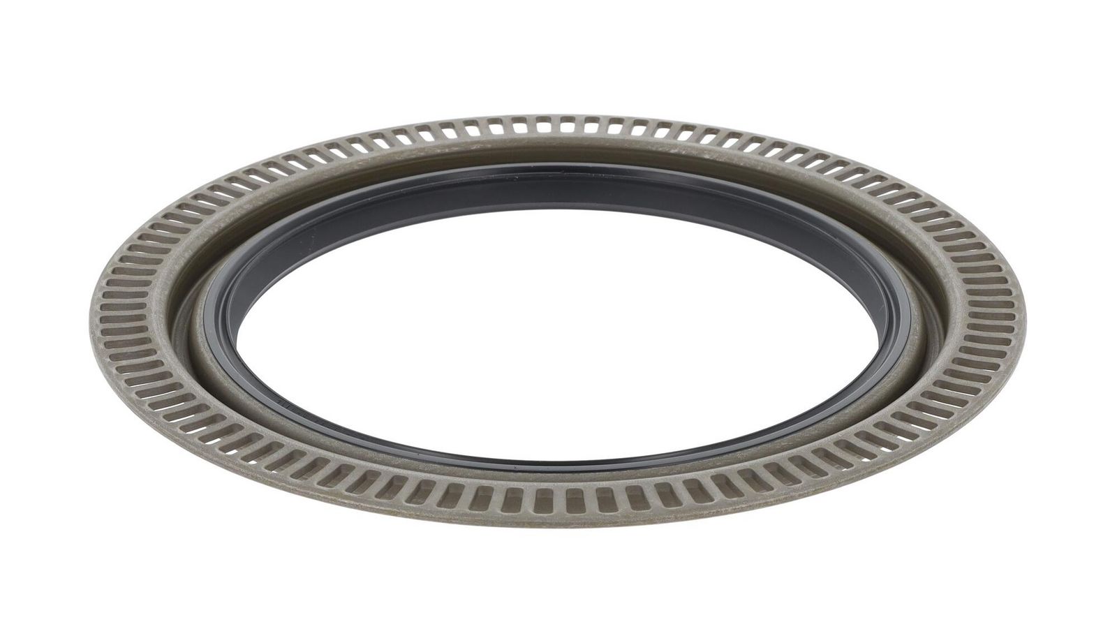 Wellen Dichtring Differential