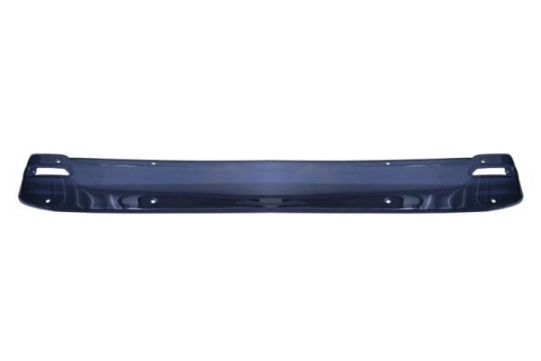 Sonnenblende