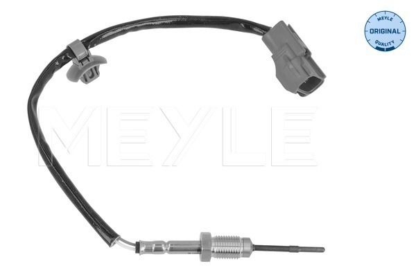 Sensor Abgastemperatur