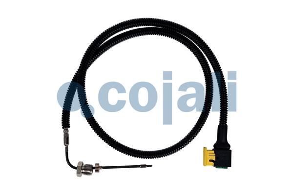 Sensor Abgastemperatur