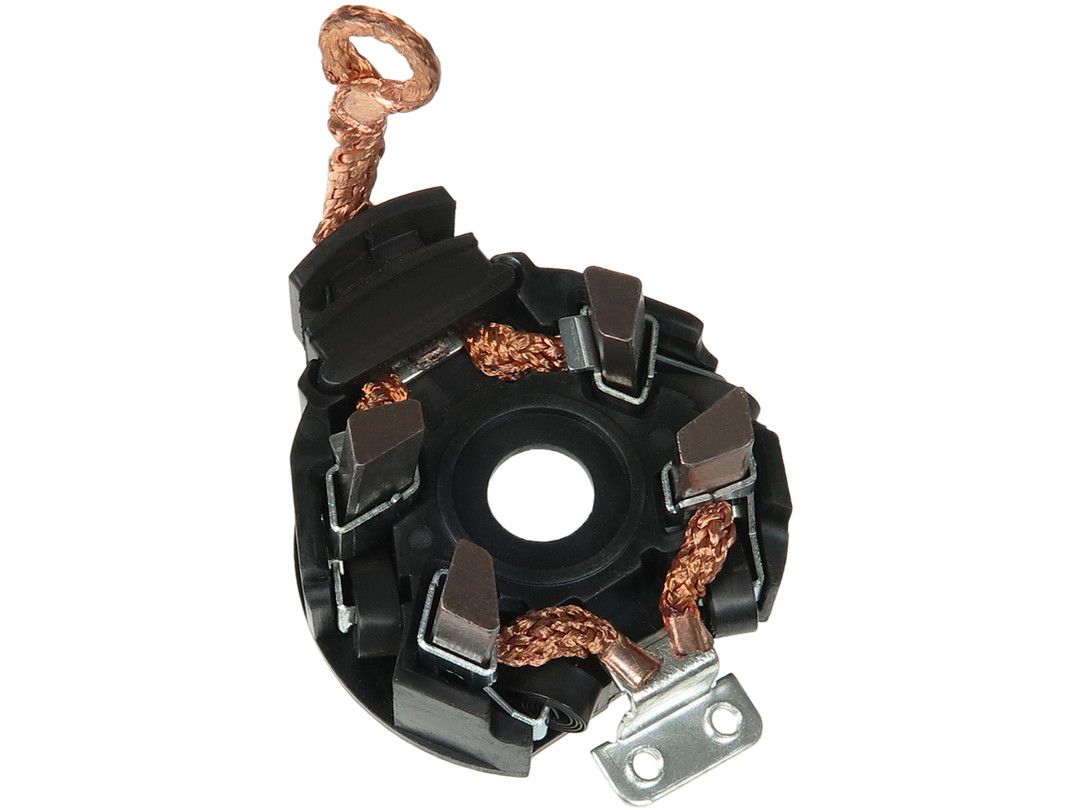 Halter Kohlebürsten