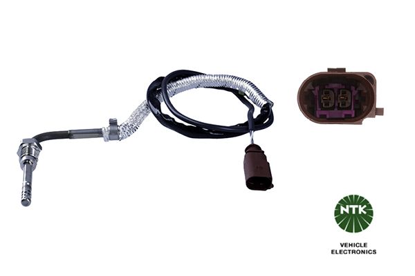 Sensor Abgastemperatur