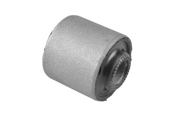 Querlenker Silentblock hinten