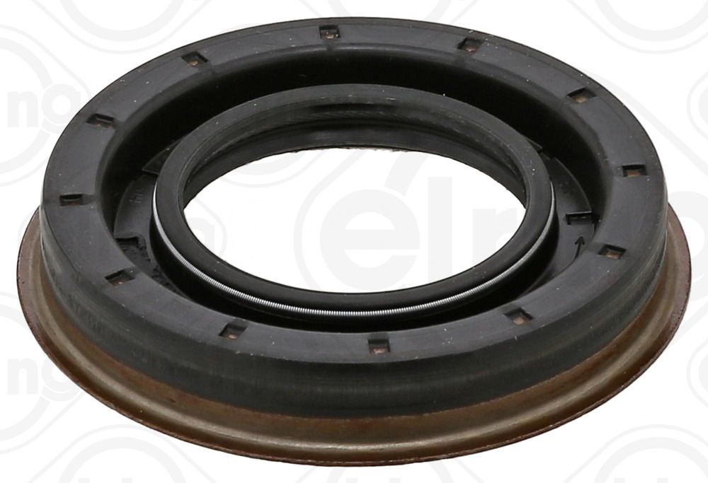 Wellen Dichtring Differential