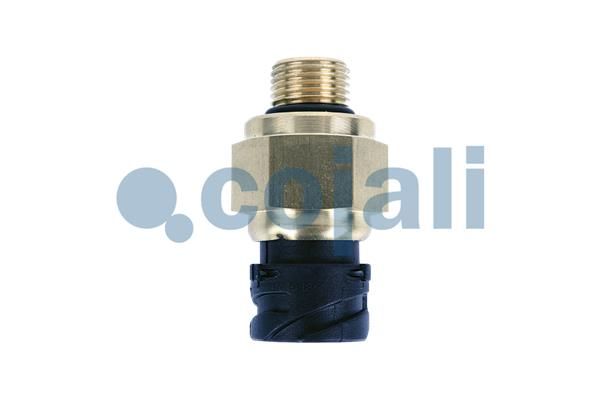 Sensor