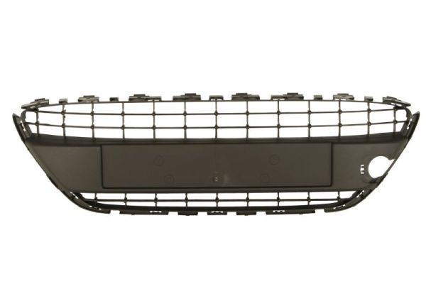 Stoßstange Gitter