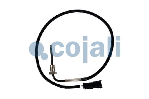 Sensor Abgastemperatur