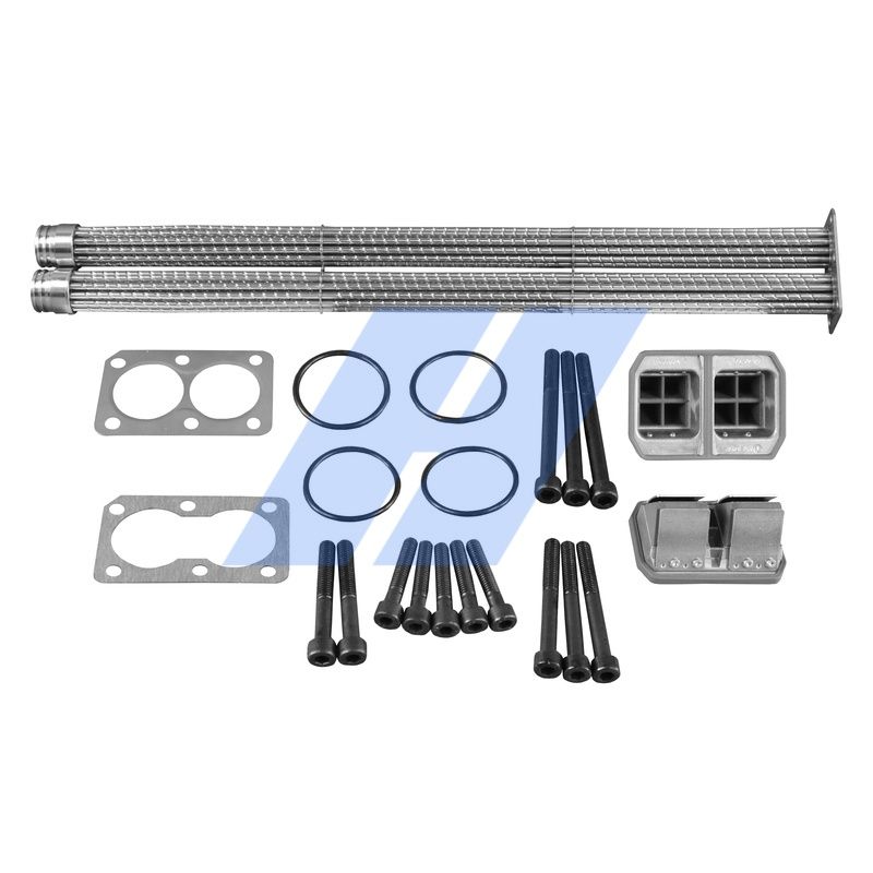 Reparatursatz, AGR-Modul