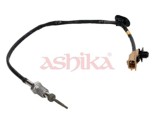 Sensor Abgastemperatur