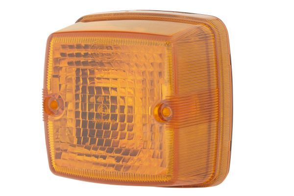 Blinker Blinkleuchte