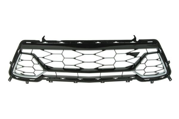 Stoßstange Gitter