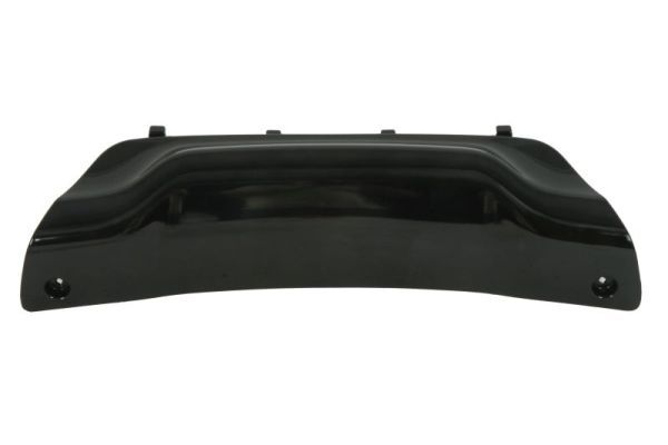 Stoßstange Gitter